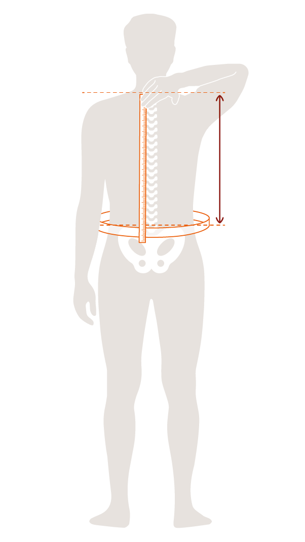 Hold the measuring tape to the C7 vertebra