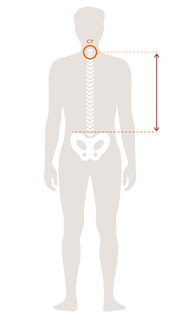 The sketch shows the two measuring points for the back length