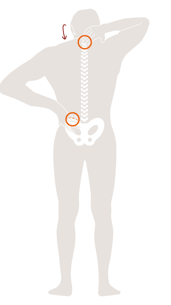 How to feel the two measuring points for back length
