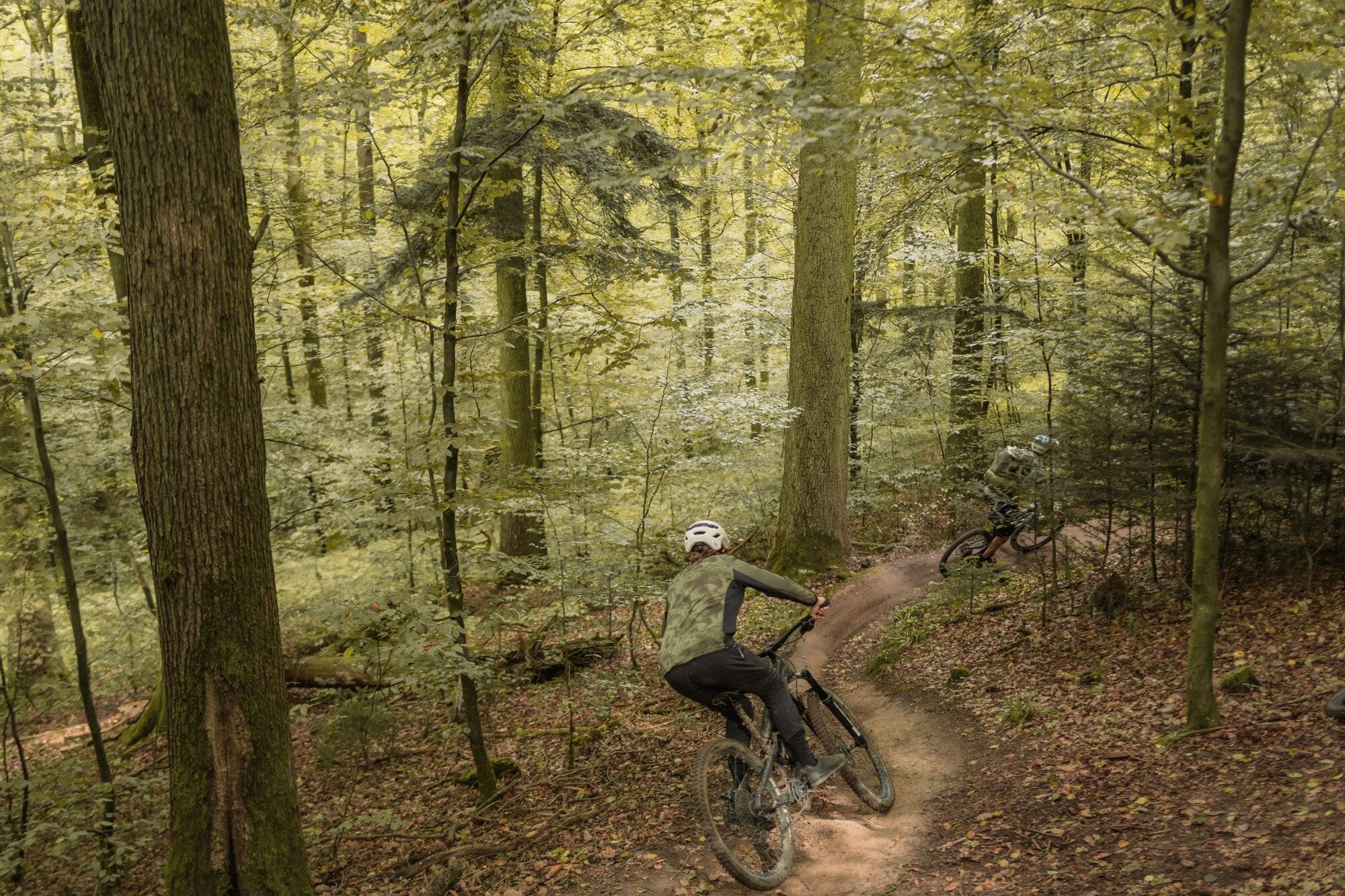 Eine Passage des KB2-Trails in Stuttgart mit Kurven