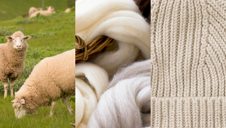 Merino Wool Bild