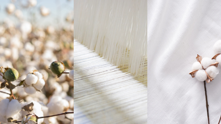 Organic Cotton