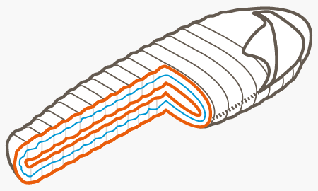 1-Layer Construction